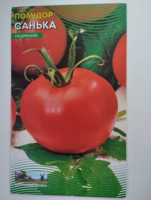 Помидор-томат  