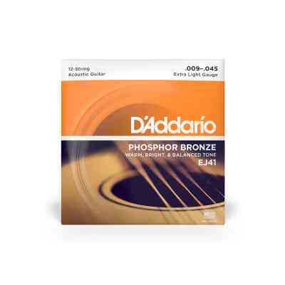 Струни для гітари D'Addario Phosphor Bronze 12-String Extra Light (09-45) (EJ41) Вінниця