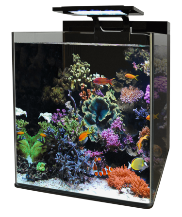 BM REEF 90 AQUARIUM (N4055350) морський акваріумний комплект Київ