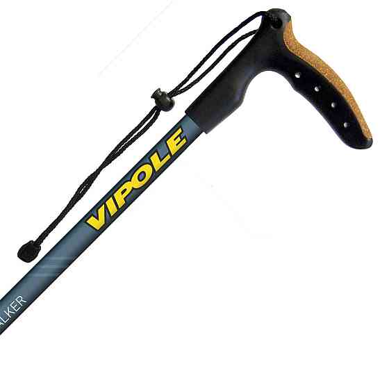 Палки трекинговые Vipole Walker (S25 20) Вінниця