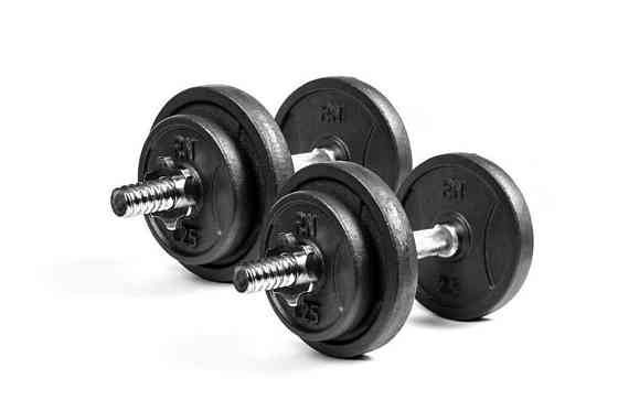 Набір 80 кг Штанга + W-подібний гриф + Гантелі набірні Гантелі, гирі, штанги та диски металеві диски Київ