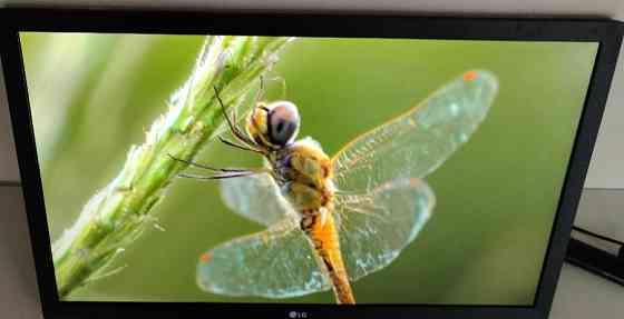 Монитор: 21.5