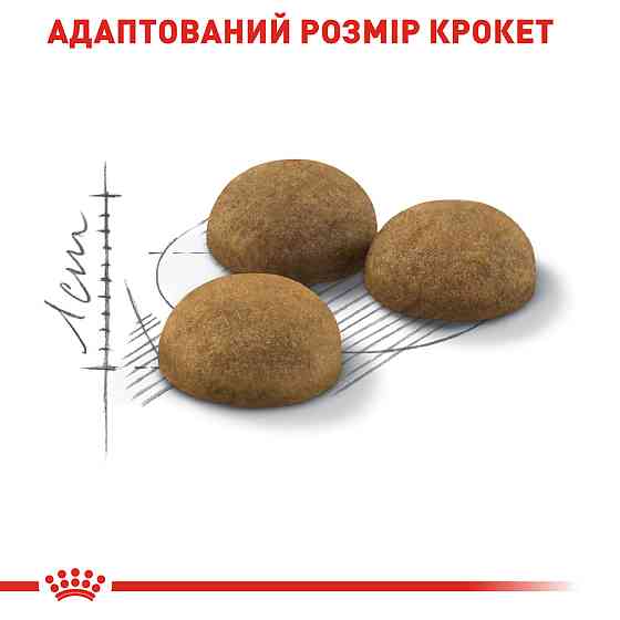 Корм для домашних длинношерстных кошек ROYAL CANIN INDOOR LONGHAIR 2.0 кг Киев
