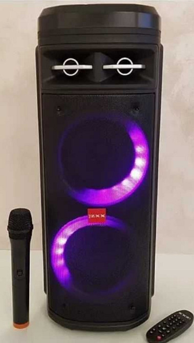 Мощная колонка с микрофоном для пения, караоке портативная. Харків - фото 5