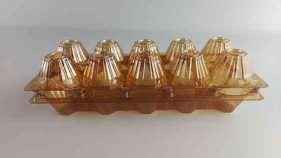 Упаковка для курячих яєць 10 осередків коричнева полегшена ПЕТ (50 шт) - тара для зберігання та транспортування Харків