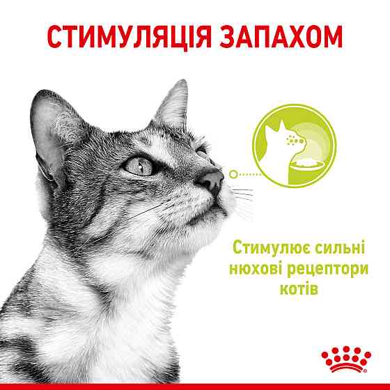 Вологий корм для дорослих котів ROYAL CANIN SENSORY SMELL JELLY 0.085 кг, стимулює нюхові рецептори Київ