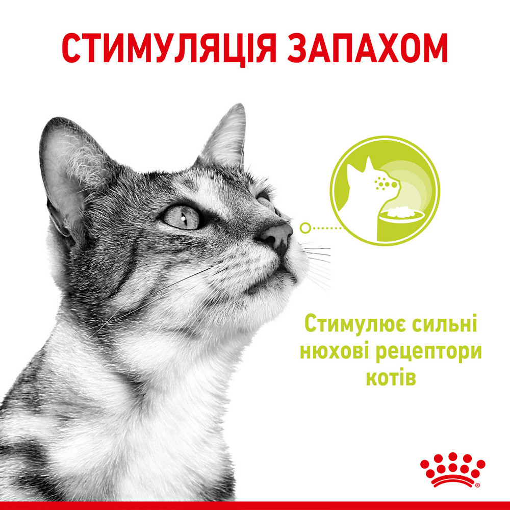 Влажный корм для взрослых кошек ROYAL CANIN SENSORY SMELL JELLY 0.085 кг стимулирует обонятельные рецепторы Киев - изображение 3