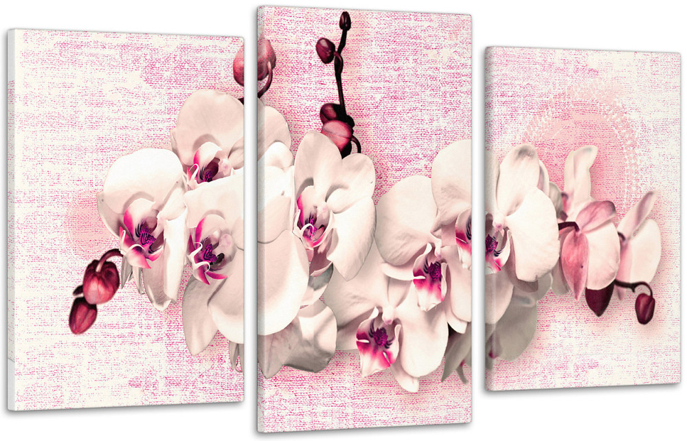 Модульная картина Орхидея Абстракция (53x100см)  Art-222_3 70x130 см Киев - изображение 1
