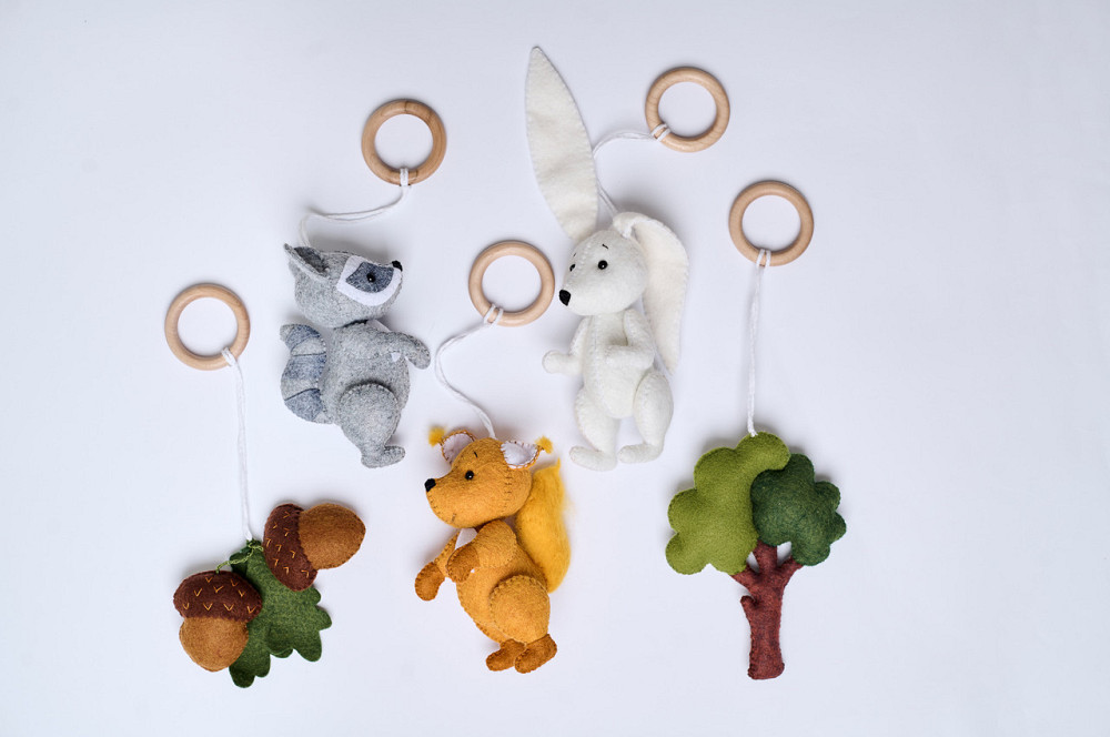 Детский тренажер WoollyFox 