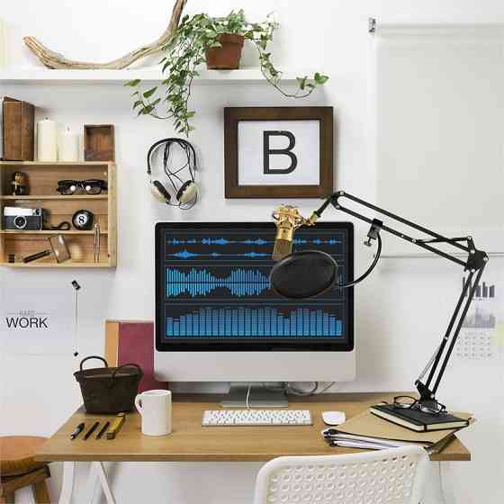 MIC-900G USB мікрофонний комплект Конденсаторний мікрофон V4 V4 захист мікрофона кронштейн золотий (Німеччина, Рівне