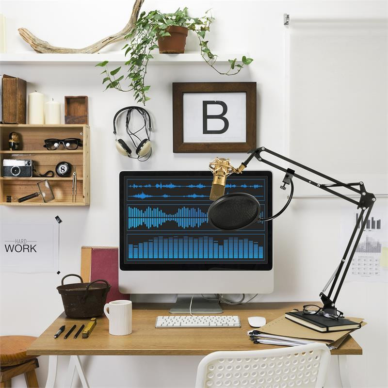 MIC-900G USB мікрофонний комплект Конденсаторний мікрофон V4 V4 захист мікрофона кронштейн золотий (Німеччина, Рівне - фото 2