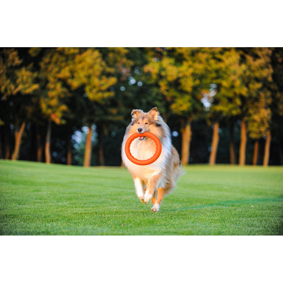 Кольцо для апортировки PitchDog30, диаметр 28 см оранжевый Киев - изображение 6