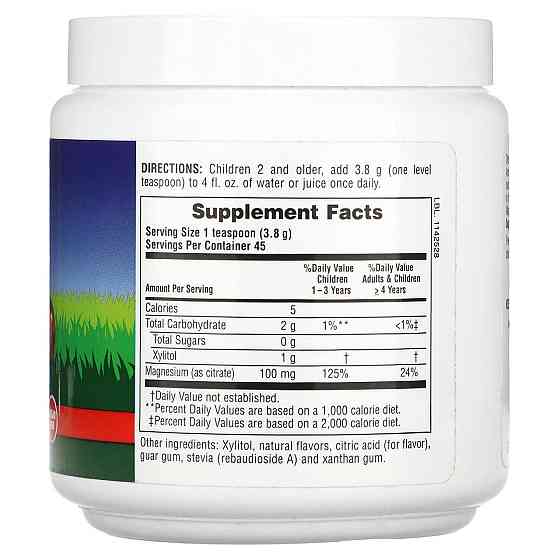 Магній для дітей Nature's Plus Animal Parade Children's Magnesium 171 г вишня Київ