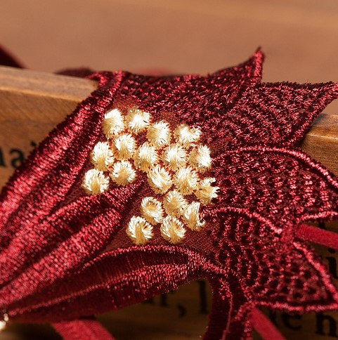 Трусики з намистинками Квітка універсальний бордовий Київ - фото 4