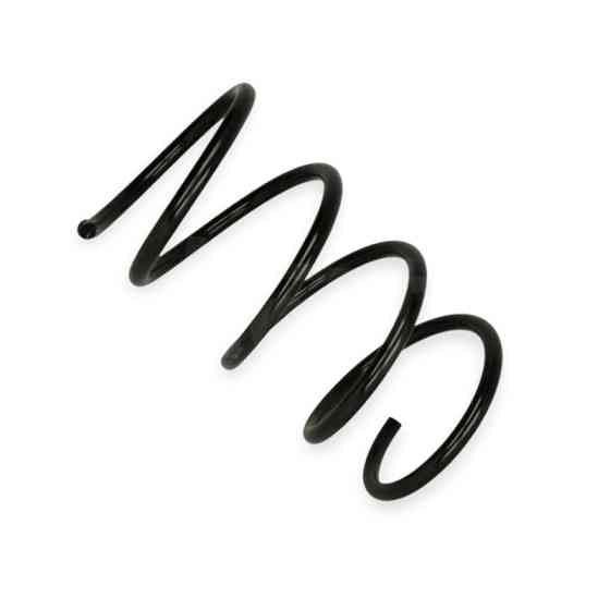 Пружина Kia Carens III 2.0CRDi 06-передня Мукачево