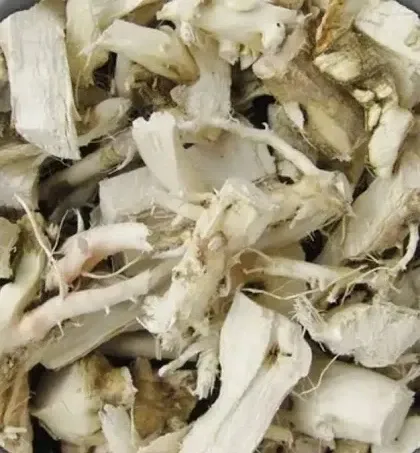 Корінь соняшника (Корень подсолнуха) 100г (свіжий збір) master sem Киев - изображение 1