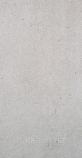 Шпалери вінілові на флізеліні AS creation Remix 1.06х10 під штукатурку під бетон світло-сірі Київ - фото 4