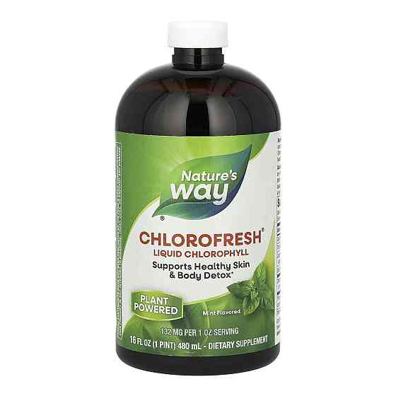 Chlorofresh® Liquid - 16 oz Mint Київ
