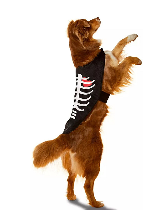 Накидка для собак і котів принт скелет XS розмір Хеллоуїн чорний Київ - фото 10