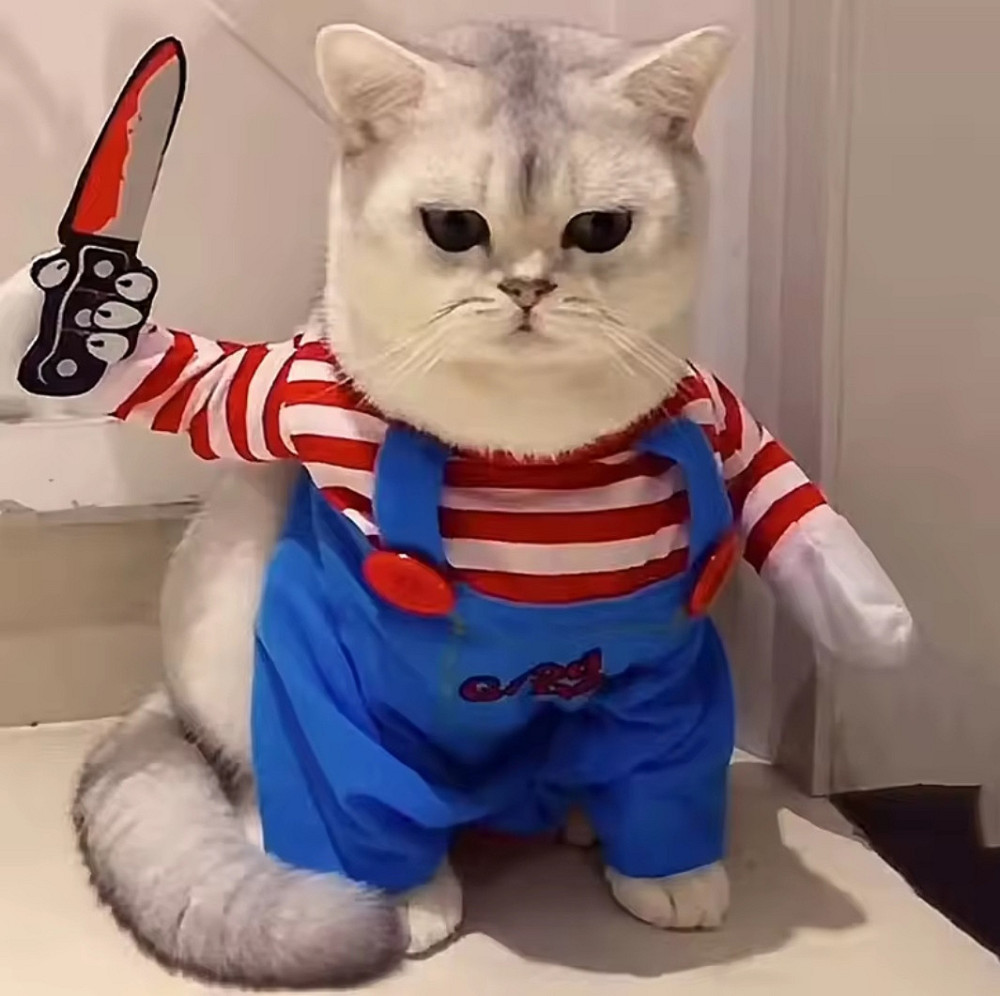 Костюм для котів і собак Чакі XS на Хелловін різнокольоровий Київ - фото 1