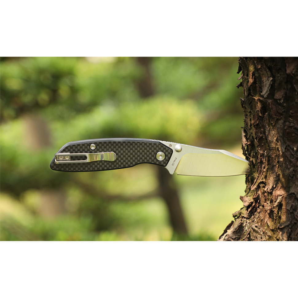 Нож складной туристический Ruike P746-CB, (8 см) 14C28N / G10 черный Киев - изображение 9