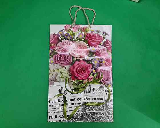 Большой бумажный пакет вертикальный  25/37/8(артBV-071) (12 шт) Харьков