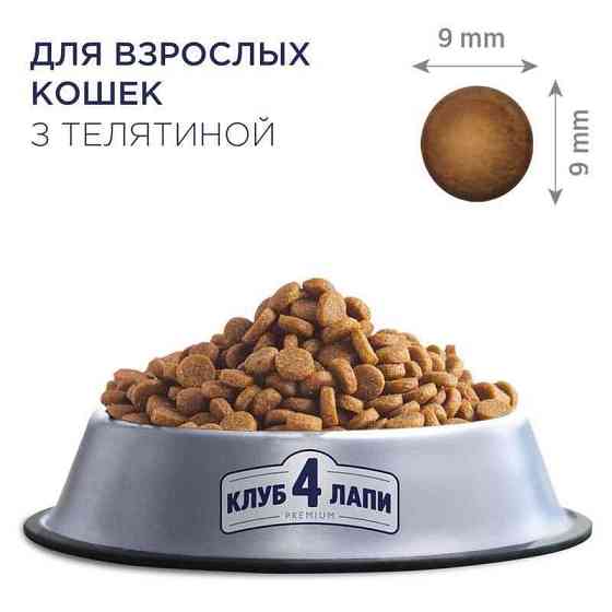 Club 4 Paws (Полуб 4 Лапи) Premium Adult Cat Veal сухий корм із телятиною для дорослих котів 14 кг Запоріжжя