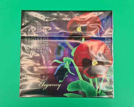 Пакет с пластиковой ручкой (36х37)  