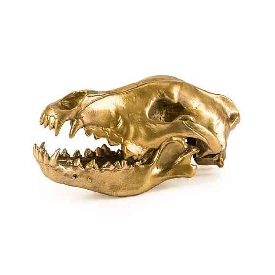 Фигура волчий череп Diesel-wolf skull (14x28х12см) Золотистый Киев