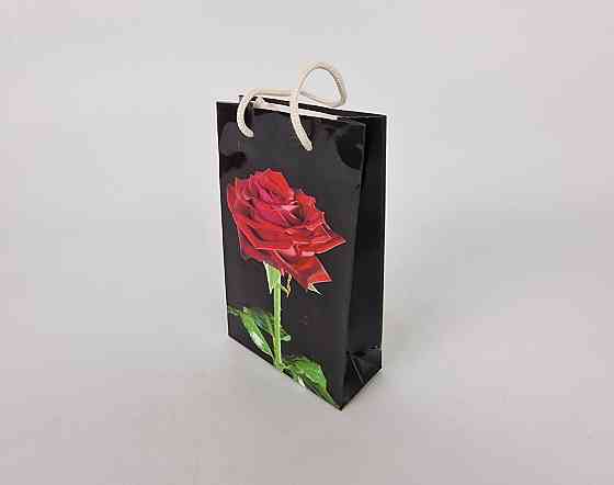 Пакет паперовий подарунковий малий 11/18/5 (арт М005) (12 шт.) Харків