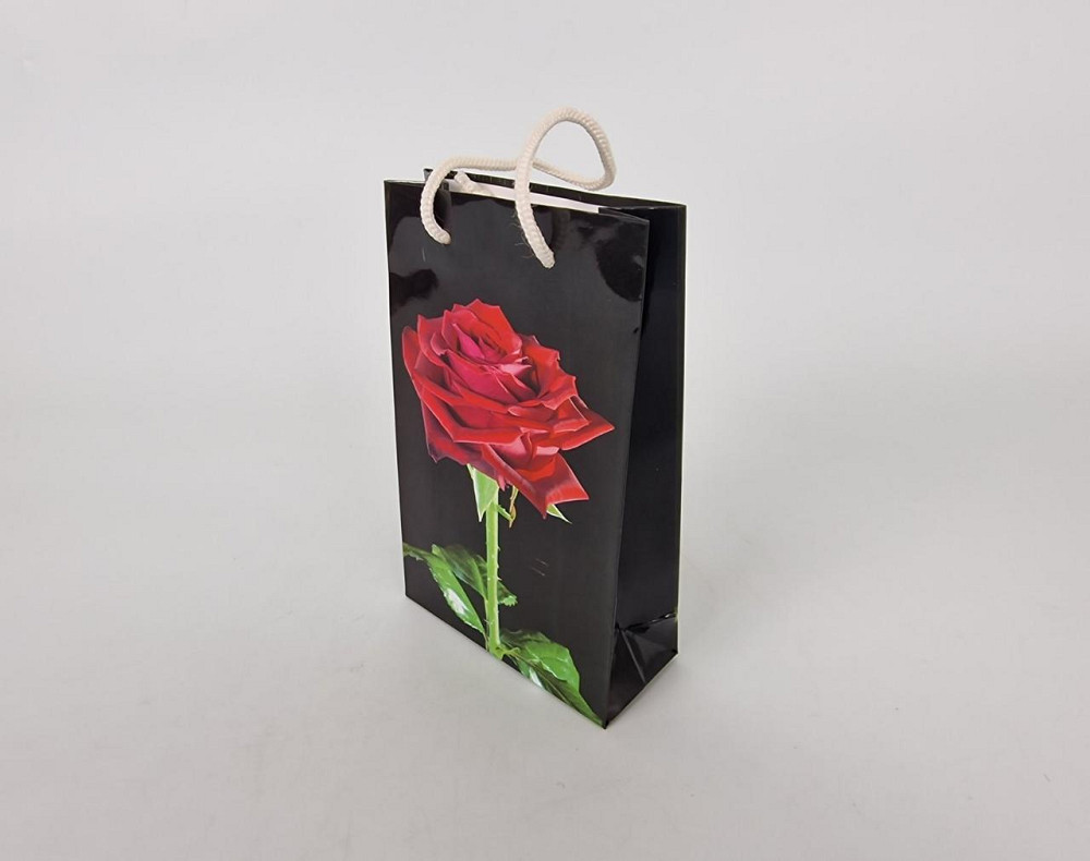 Пакет паперовий подарунковий малий 11/18/5 (арт М005) (12 шт.) Харків - фото 1