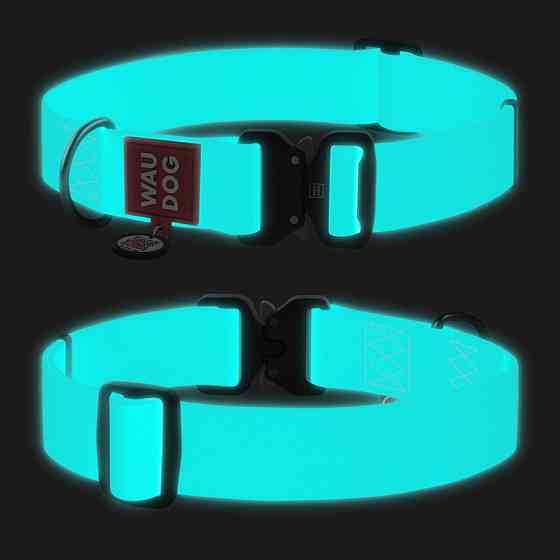 Нашийник для собак водостійкий WAUDOG Waterproof з QR-паспортом, світиться в темряві , металева Коломия