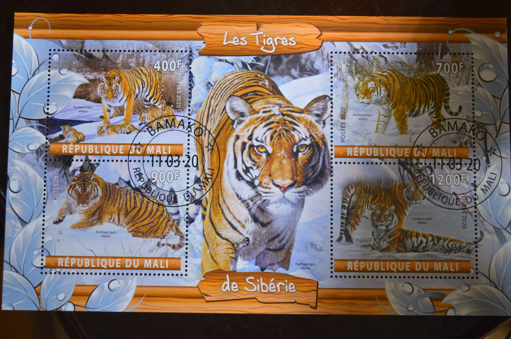 Мали. Марки. Фауна. Блок. 2020 год (В-2) Полтава - изображение 1