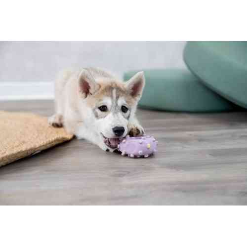 Игрушка Trixie Кольцо игольчатое для собак, d:8 см (латекс) Винница