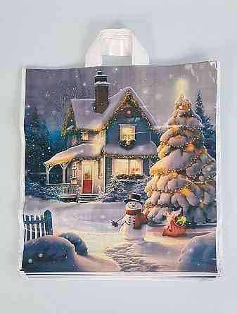 Пакет 40*42 петлевая ручка Домик Снеговика НГ Комсерв (25 шт) Харьков