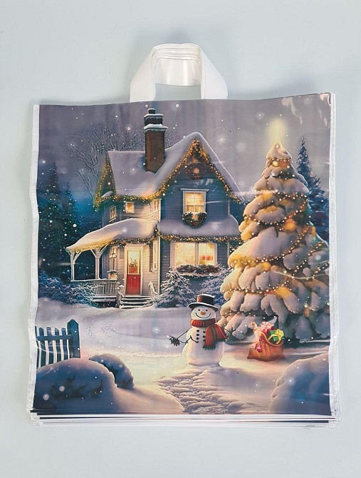 Пакет 40*42 петлевая ручка Домик Снеговика НГ Комсерв (25 шт) Харьков - изображение 1