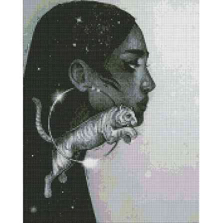 УЦІНКА! Алмазна мозаїка "Сузір'я тигра" AMO7270-UC 40х50 см Вінниця