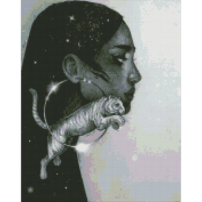 УЦЕНКА!!! Алмазная мозаика 