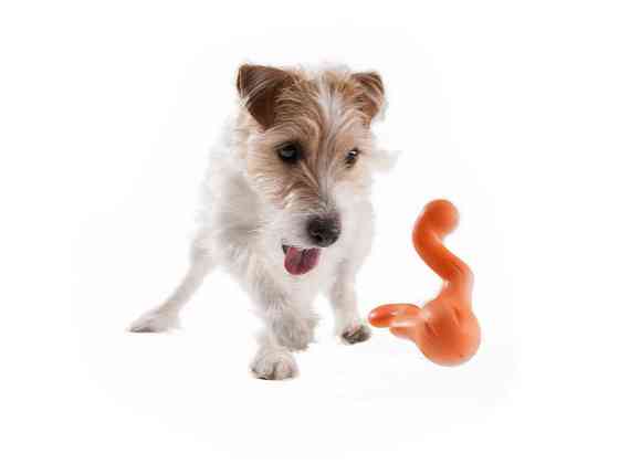 West Paw Tizzi Dog Toy (Вест Пав Тиззи) игрушка для собак с отверстием для лакомств Маленький - 11 см, Зелёный Запорожье