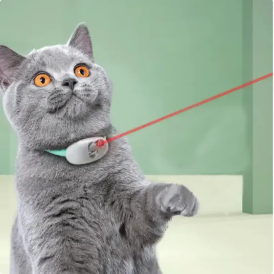 Умный лазерный ошейник для кошек и кошек Laser Collar интерактивная смарт со встроенным лазером Коломыя