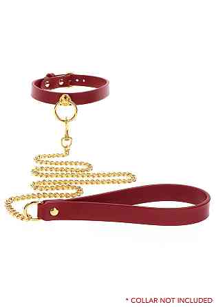 Повідець з ланцюжком Taboom Chain Leash, золотистий Sex Aura Київ