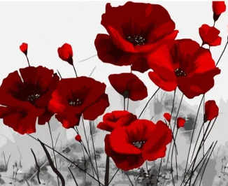 Набір для розпису по номерах Яскраві маки Strateg розміром 40х50 см (DY410), шт Киев - изображение 1