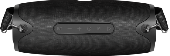 Портативна колонка Defender G22 20Вт, Black (65122) (6748248) Київ