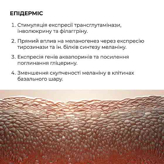 Сироватка для активного відновлення шкіри Hillary ReNuAge Retinol Active Renewal Serum, 30 мл Київ