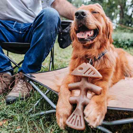 Жувальна іграшка для собак Бенебон Benebone Fishbone Salmon зі смаком лосося для собак до 13 кг (розмір S) Вінниця