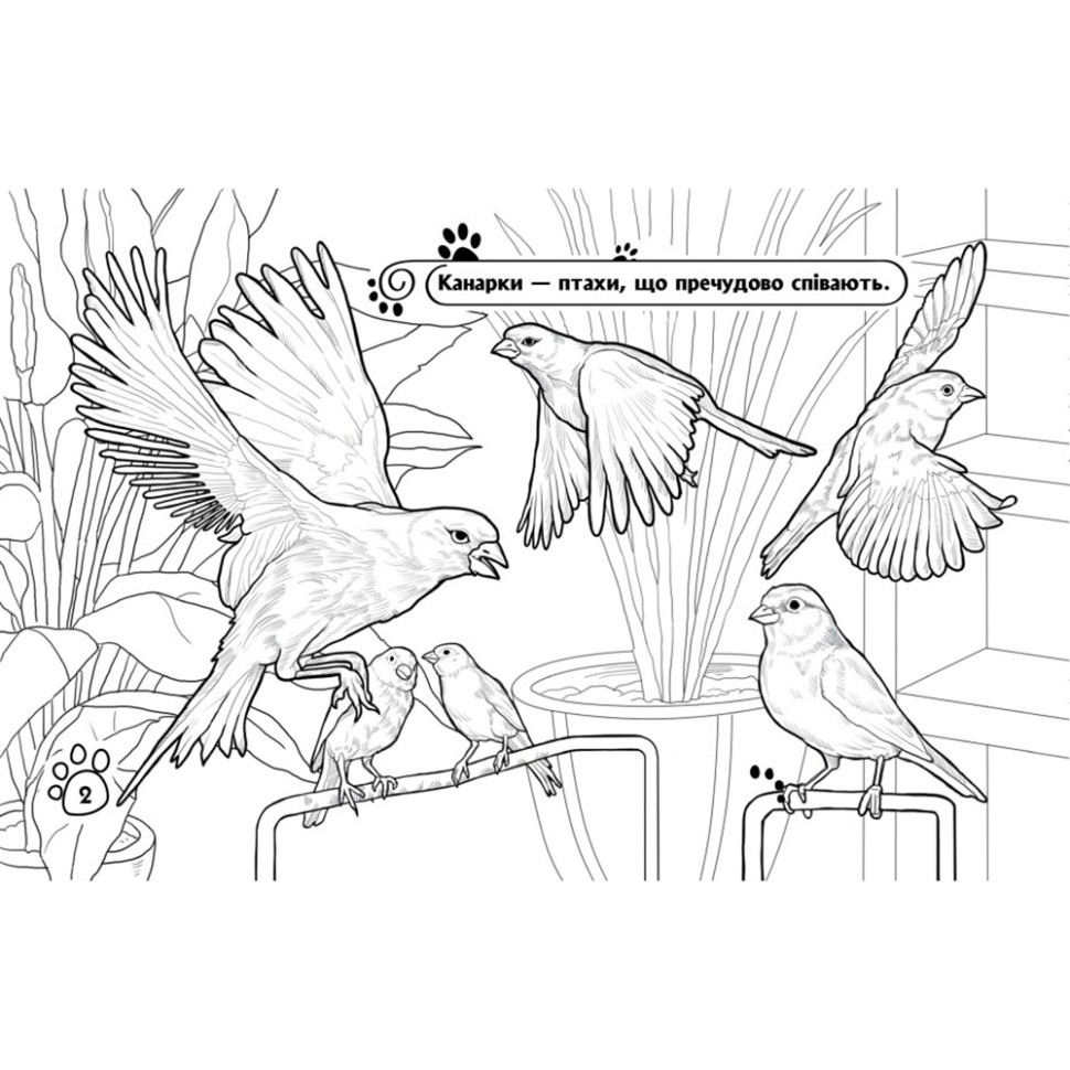 Детская раскраска 