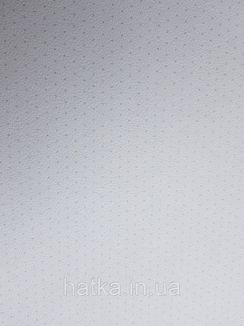 Шпалери вінілові на флізелін Petite Fleur 4 Rasch Texti 288802 однотонні білі з блакитними точками Київ - фото 1