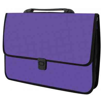 Папка - портфель Economix на застежке, фактура Вышиванка, фиолетовый (E31641-12) Винница