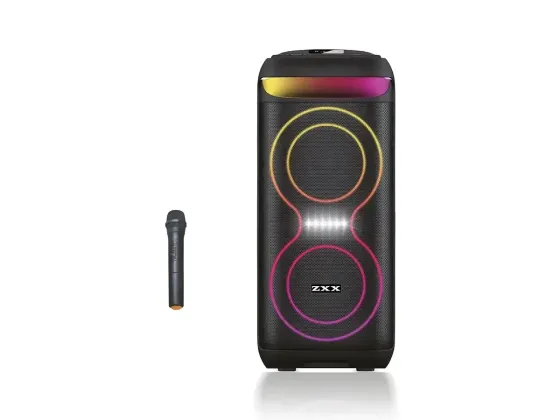 Акустична переносна колонка ZXX-5505 40Вт 6,5" 60х27х30см USB/TF/FM/BT/MIC/AUX Одеса