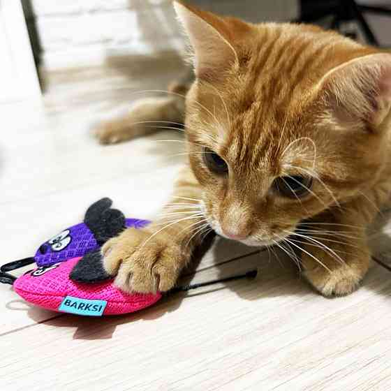 Игрушка для Котов и Кошек Мышка с Колокольчиком 8х4 см Розовая Одесса